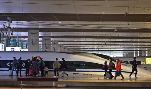 郑州铁路逐步恢复列车开行，明起恢复高铁8趟