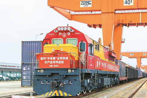 首列中老泰全铁快速农产品专列抵蓉，国际物流新动脉全面打通