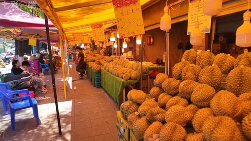 中老铁路 客货运双双突破5000万，合作共赢之路改变我们的生活与货机车配件行业